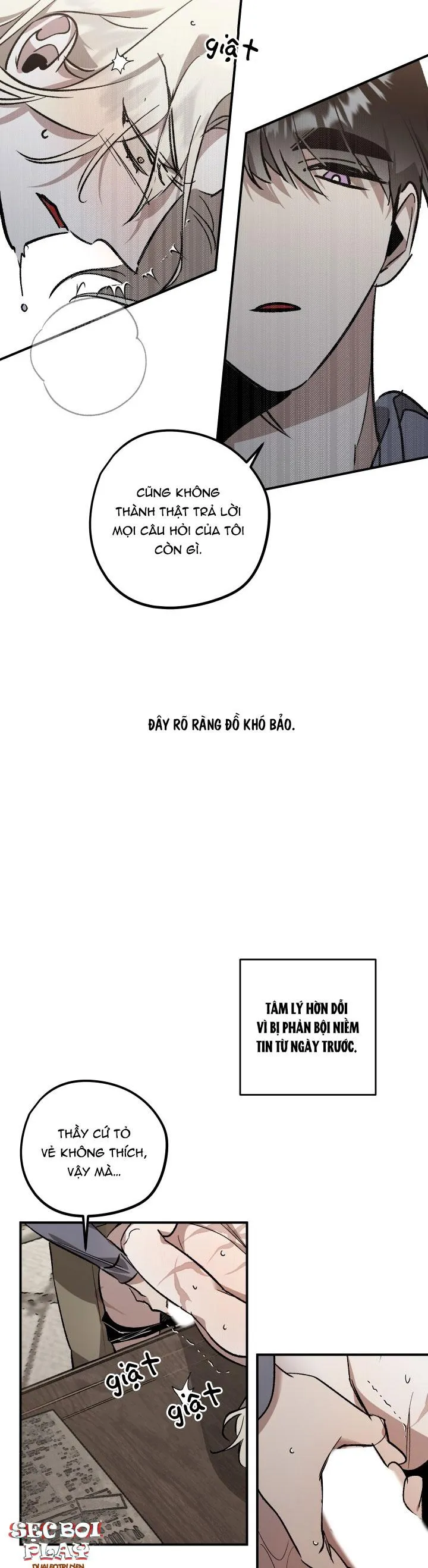 khu vườn  hoa lavender Chapter 4 Trang 13