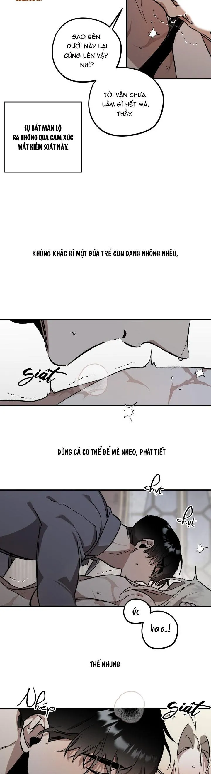 khu vườn  hoa lavender Chapter 4 Trang 14