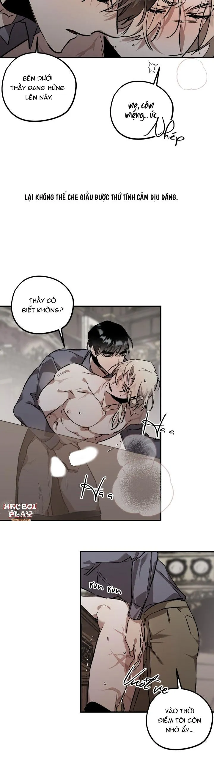 khu vườn  hoa lavender Chapter 4 Trang 15