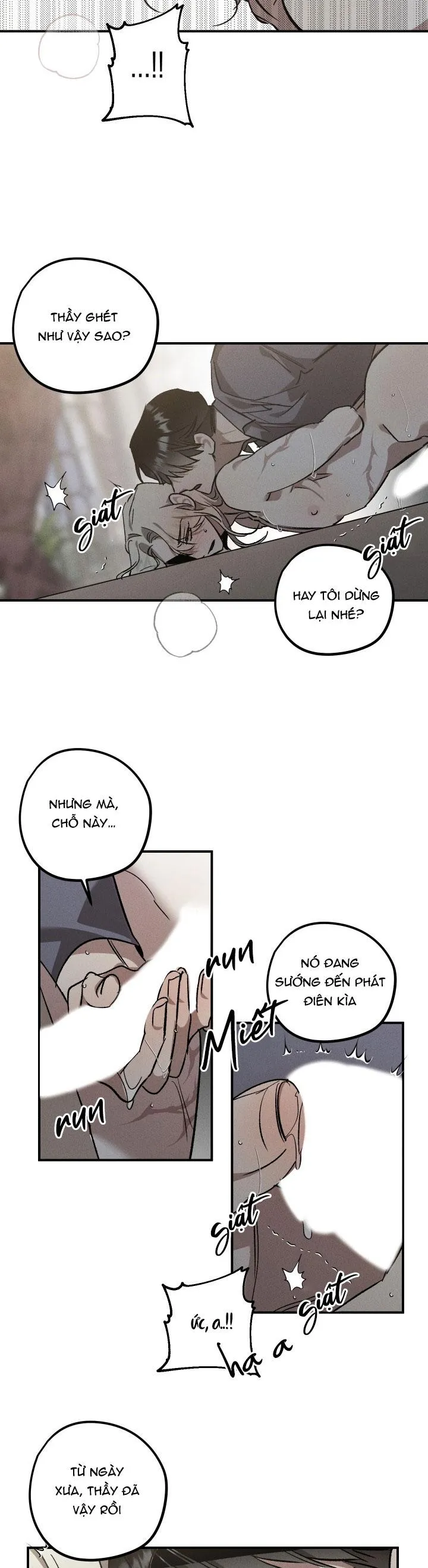 khu vườn  hoa lavender Chapter 4 Trang 19