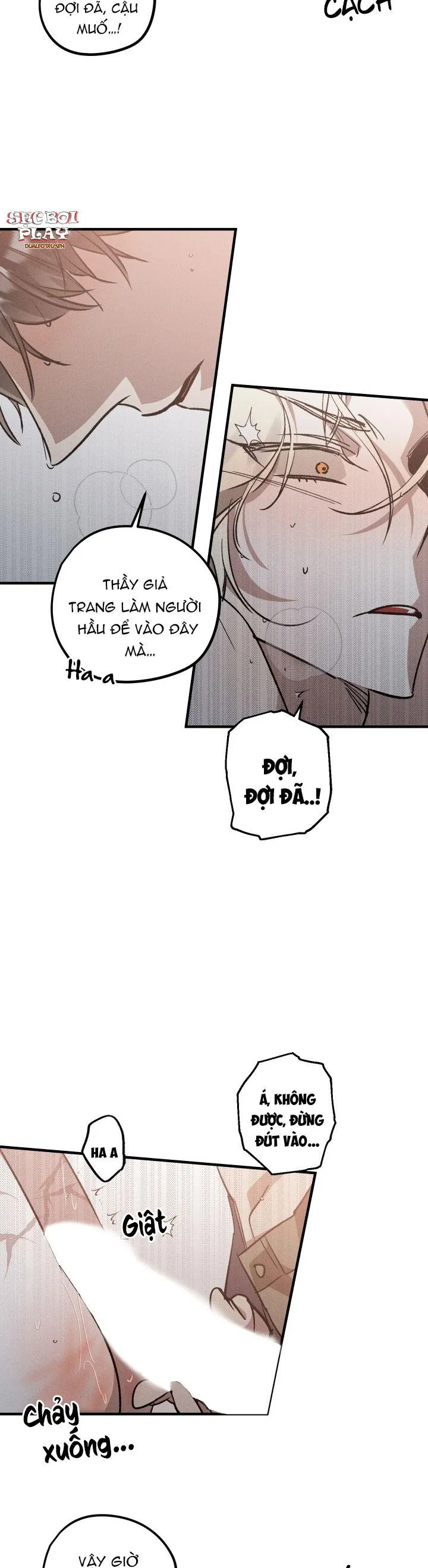 khu vườn  hoa lavender Chapter 5 Trang 12