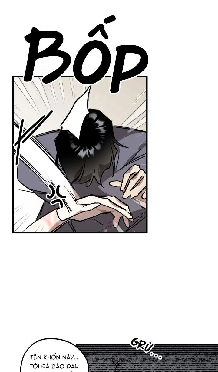 khu vườn  hoa lavender Chapter 6 Trang 21