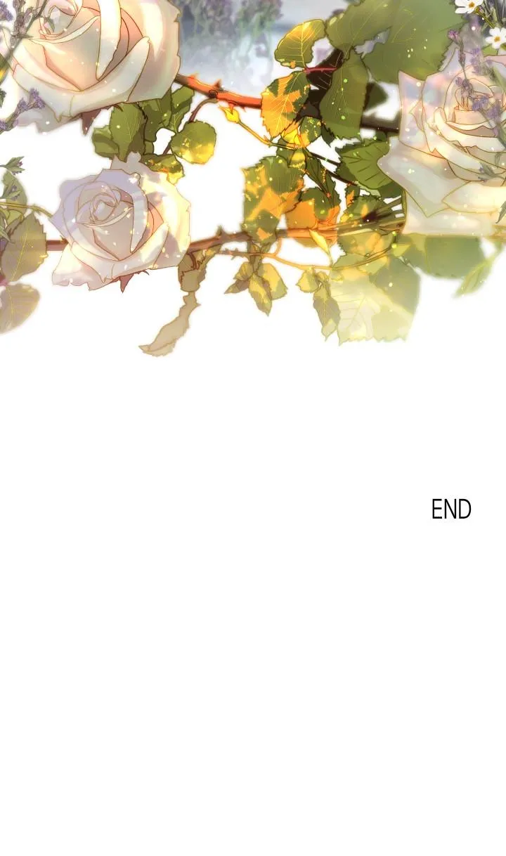 khu vườn  hoa lavender Chapter 7 Trang 21