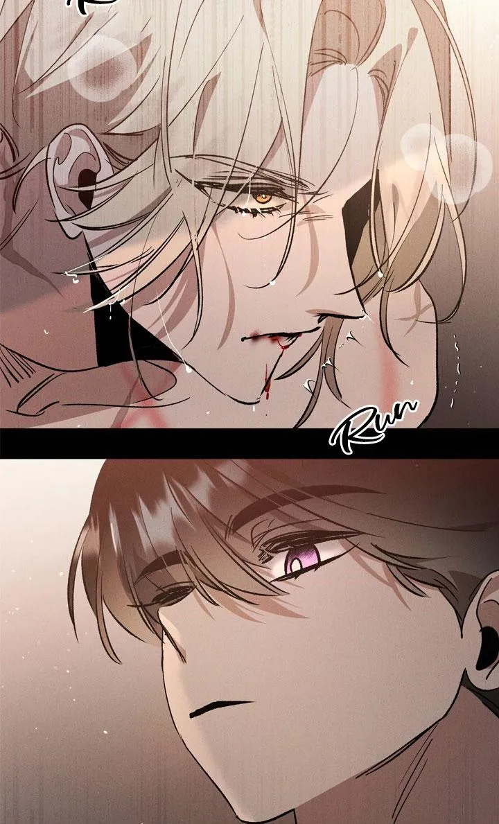 khu vườn  hoa lavender Chapter 0 Trang 5