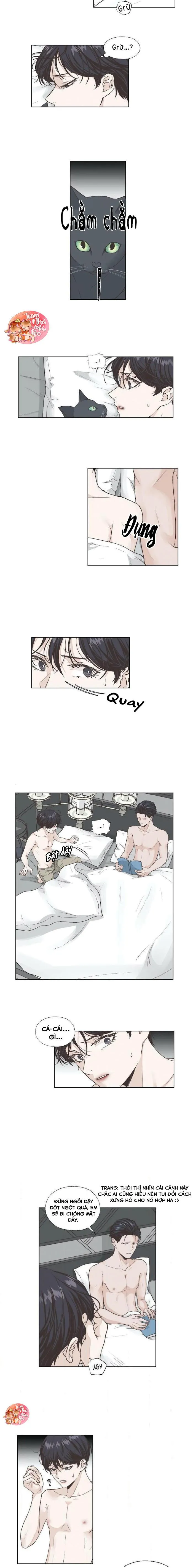 Khúc Hát Nhân Ngư Chapter 4 Trang 3