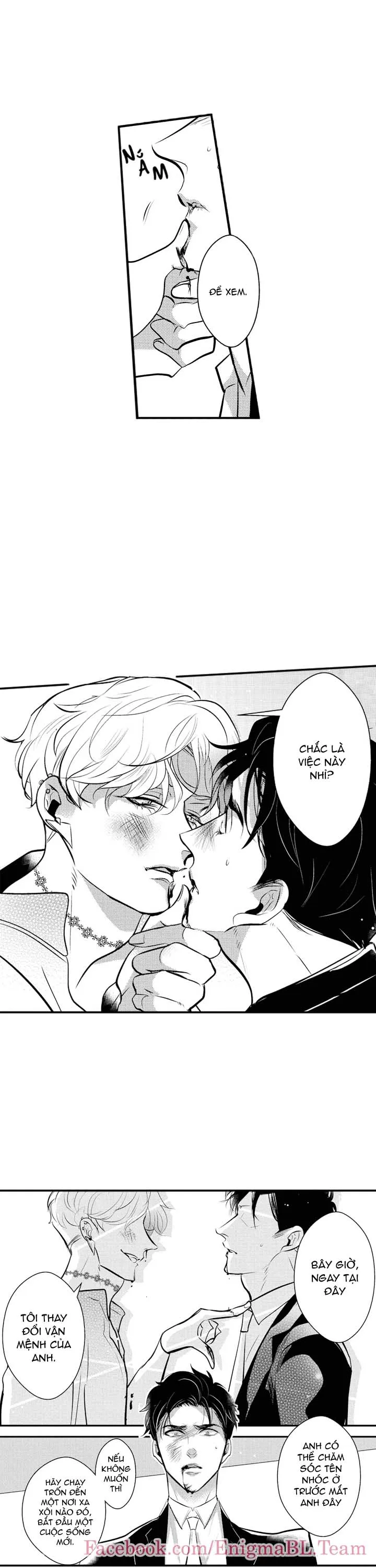 NGÔI SAO DÂM DỤC VÀ TRỢ LÝ YAKUZA (FULL) Chapter 6 Trang 10