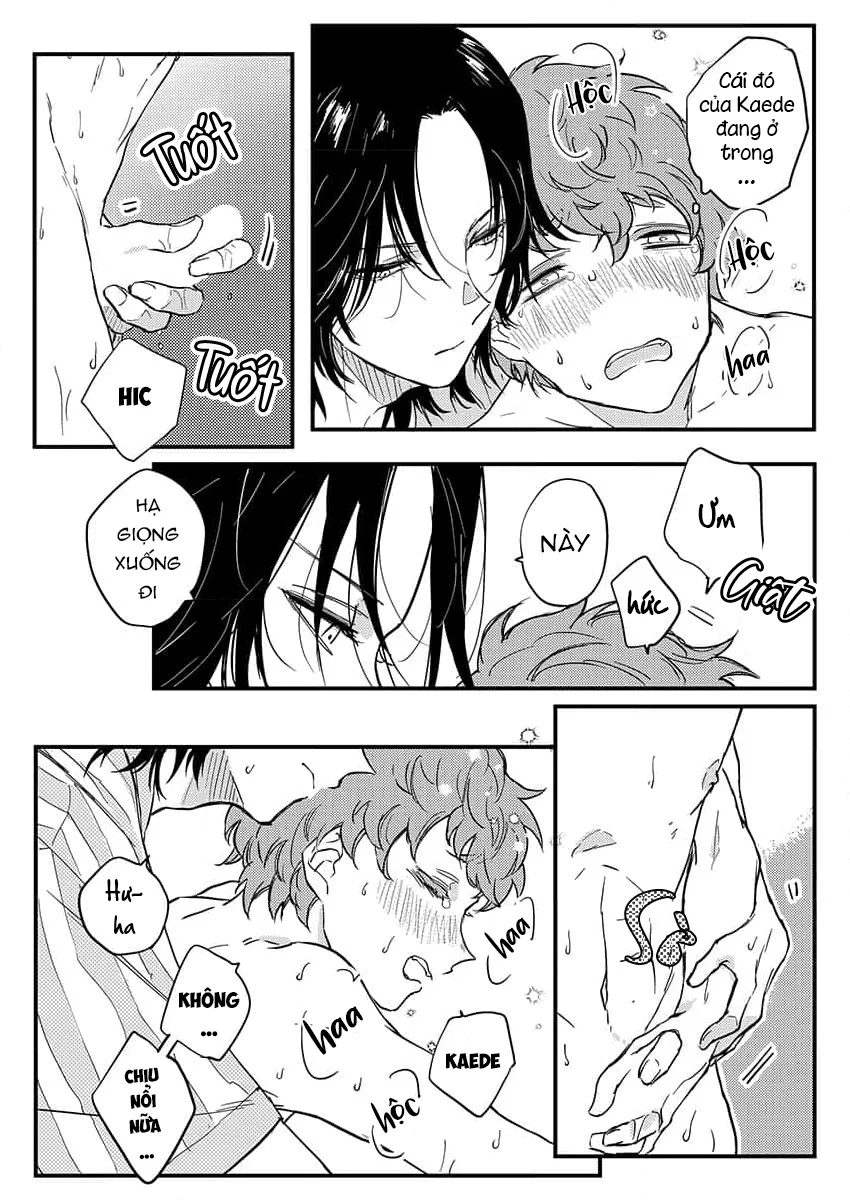 Khuôn Mặt Mà Tôi Chưa Từng Thấy Ở Tên Dâm Đãng Đó Chapter 15 Trang 5