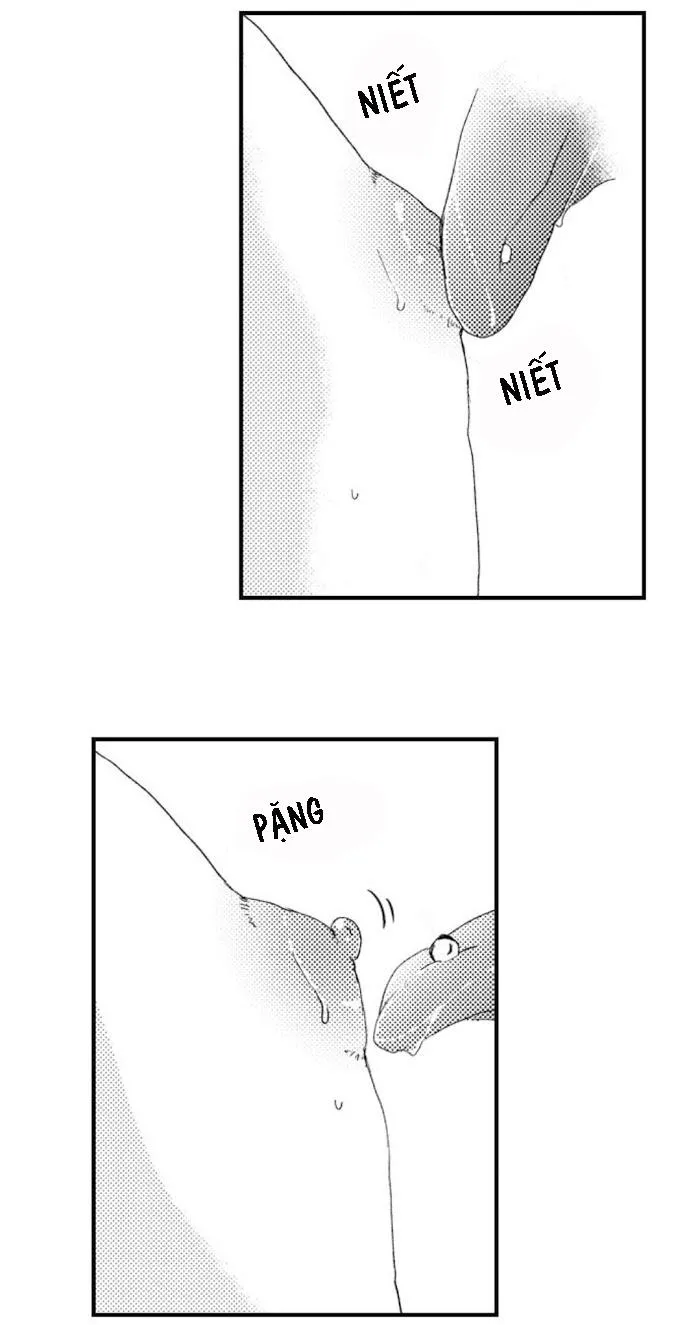 KHUYÊN LƯỠI CỦA ANH ẤY KHIẾN NGỰC TÔI TRỞ NÊN DAMDANG Chapter 13 Trang 29