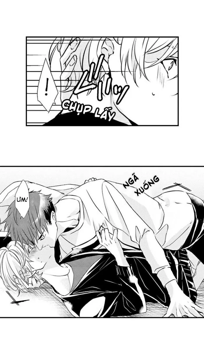 KHUYÊN LƯỠI CỦA ANH ẤY KHIẾN NGỰC TÔI TRỞ NÊN DAMDANG Chapter 31 Trang 12