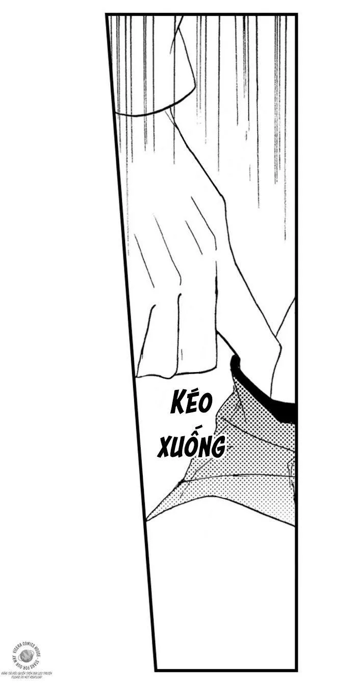 Kì Sinh Mãn Chapter 10 Trang 29