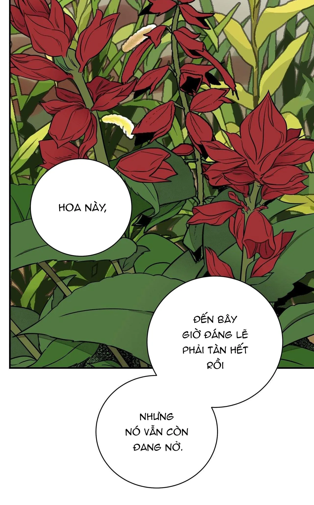 KIẾM HOA Chapter 70 Trang 49