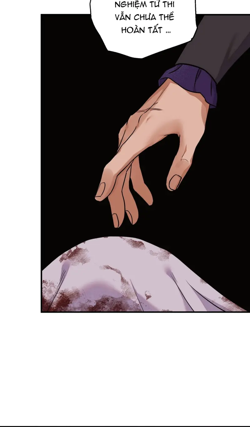 KIẾM HOA Chapter 94 Trang 12