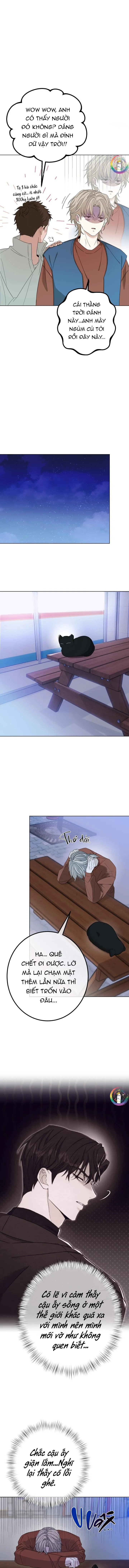 (END) Kiểm Soát, Cuồng Nhiệt, Yêu Thương Chapter 1 Trang 11