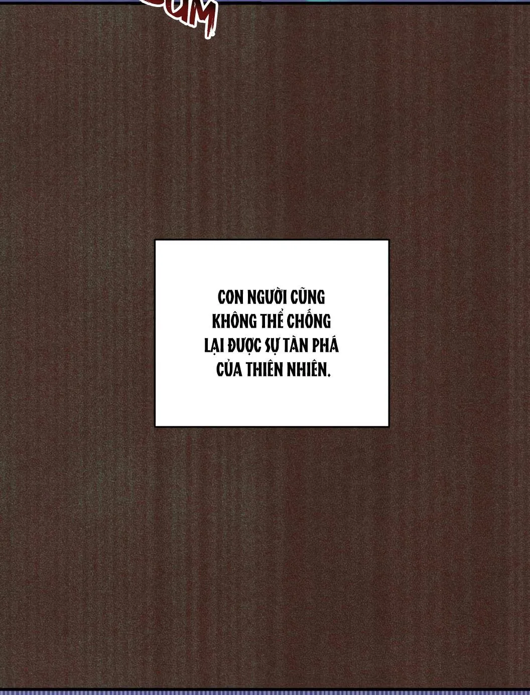 KIÊU HÃNH TRƯỚC KHI SA NGÃ Chapter 2 Trang 3