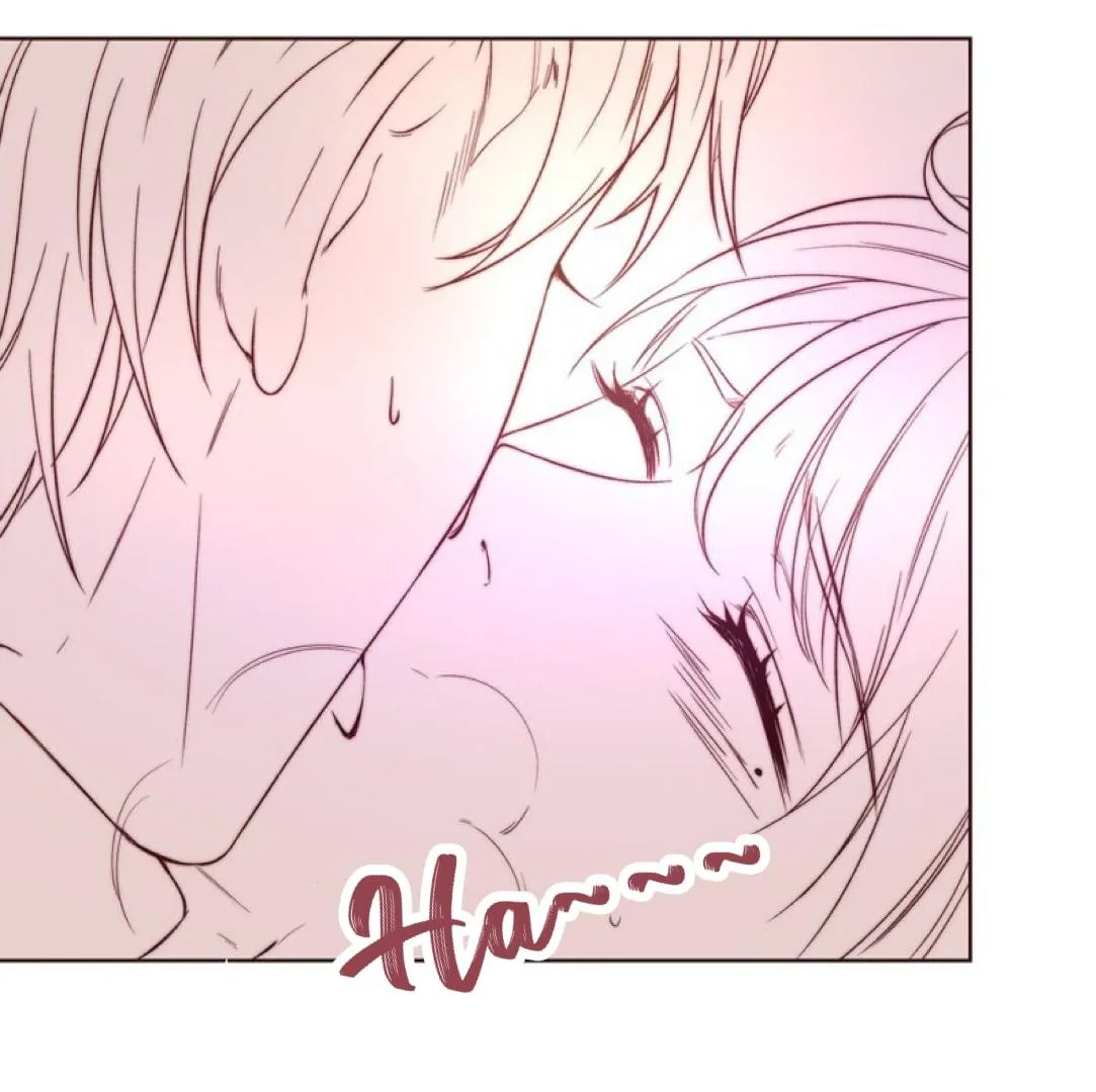 Kim chủ Chapter 19 Trang 41