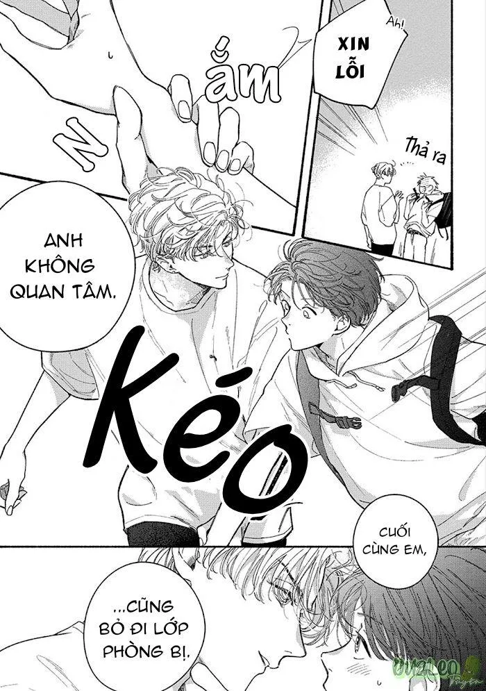 SUMIRE CỦA ANH Chapter 2 Trang 27