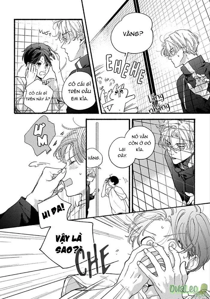 SUMIRE CỦA ANH Chapter 3 Trang 4