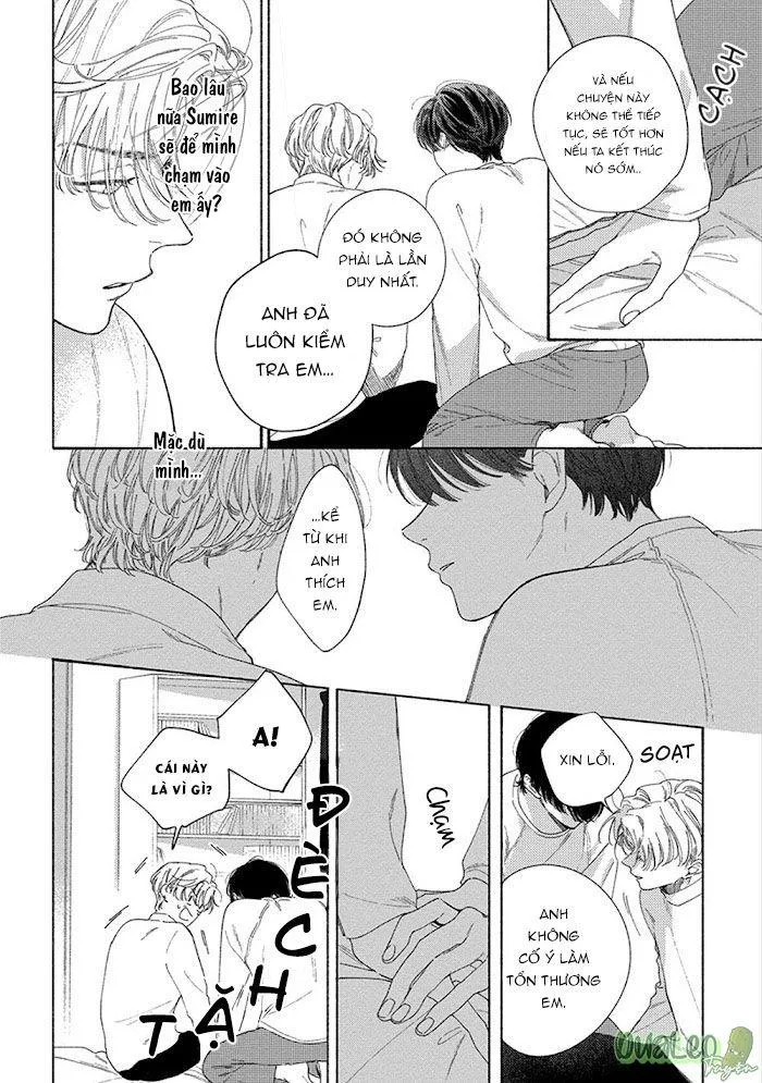 SUMIRE CỦA ANH Chapter 5 Trang 12