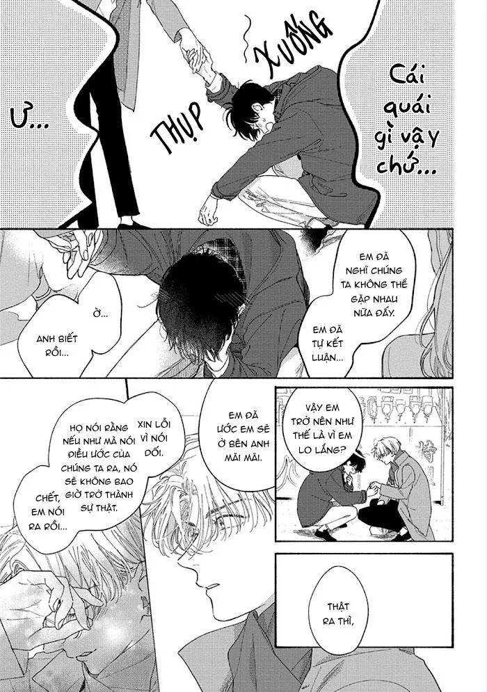 SUMIRE CỦA ANH Chapter 6 Trang 7