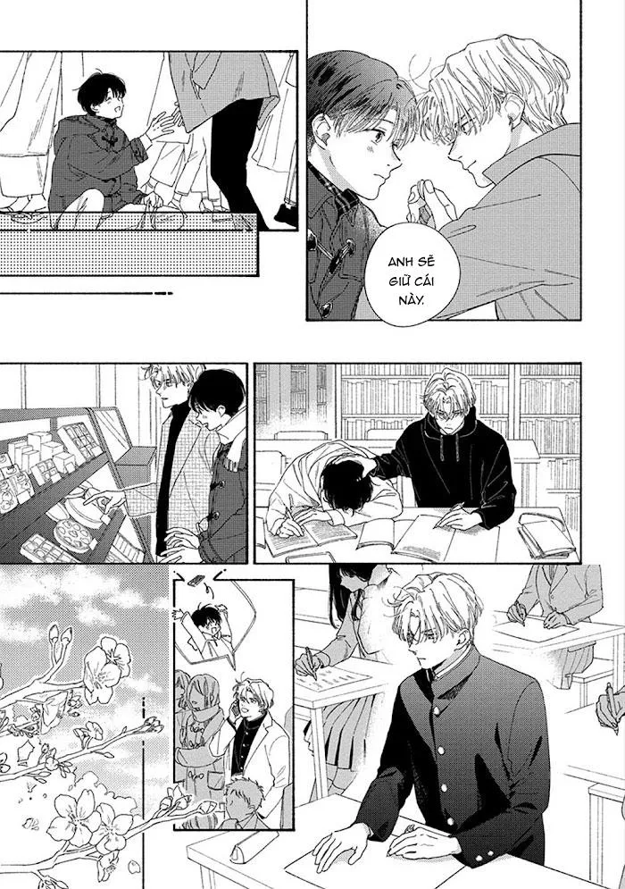 SUMIRE CỦA ANH Chapter 6 Trang 9