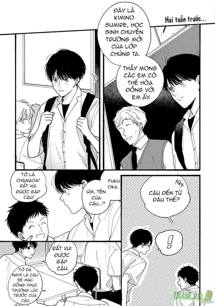 SUMIRE CỦA ANH Chapter 1 Trang 5