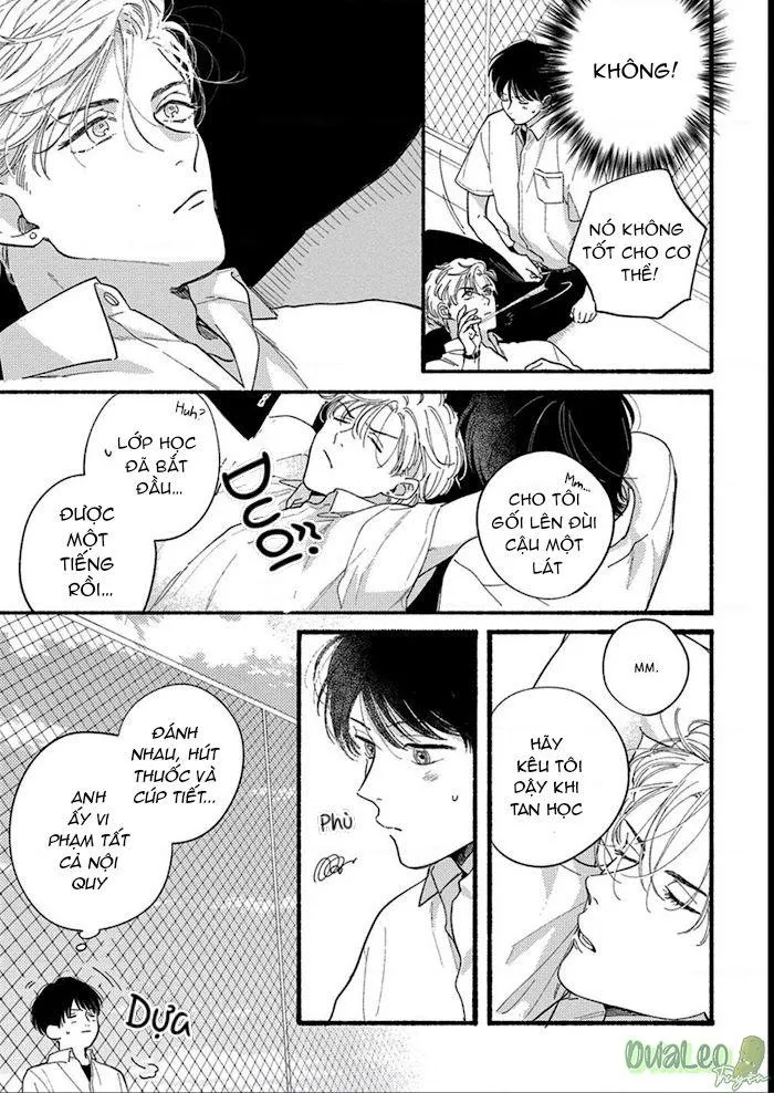 SUMIRE CỦA ANH Chapter 1 Trang 24