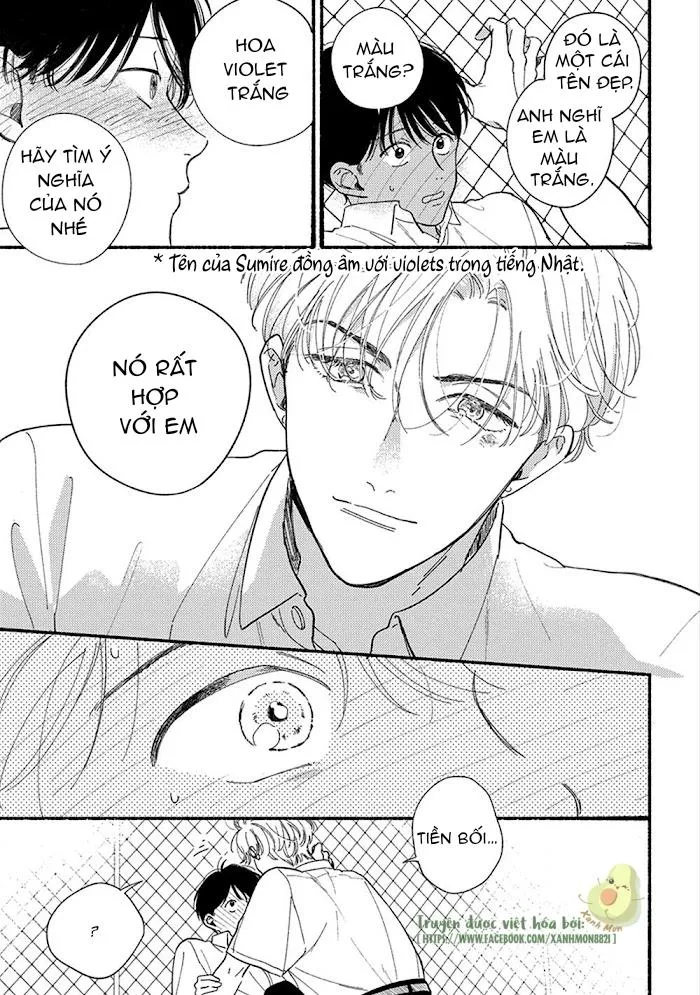 SUMIRE CỦA ANH Chapter 1 Trang 40