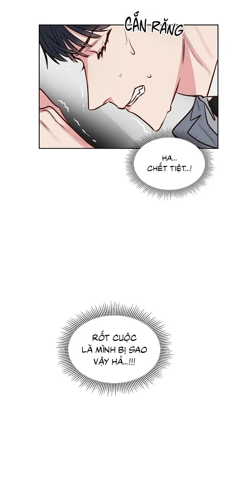 Kiss me liar Chapter 7 Trang 9