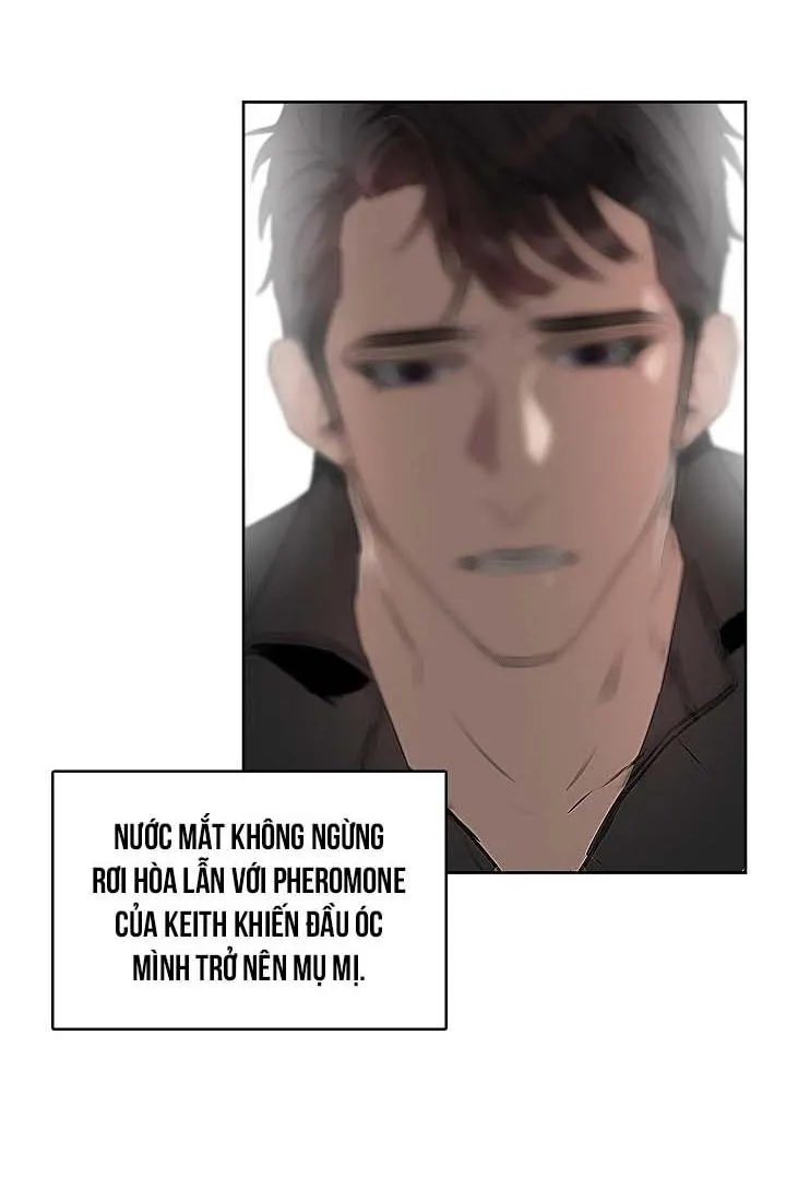 Kiss me liar Chapter 13 Trang 28