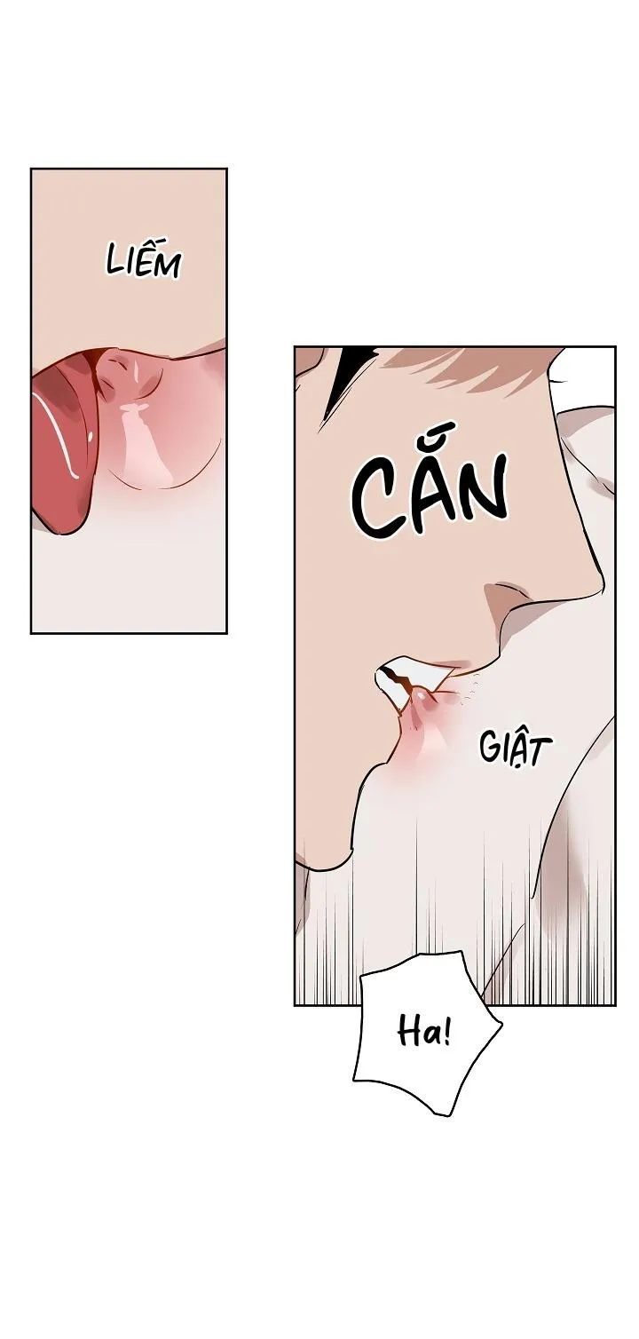 Kiss me liar Chapter 21 Trang 13