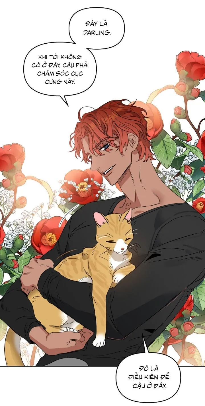 Kiss me liar Chapter 36 Trang 42