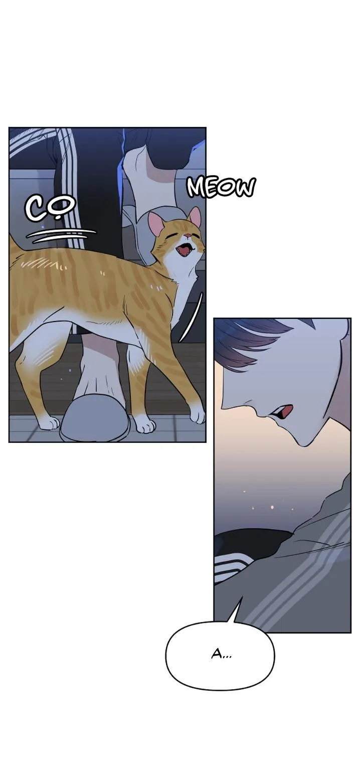 Kiss me liar Chapter 38 Trang 3