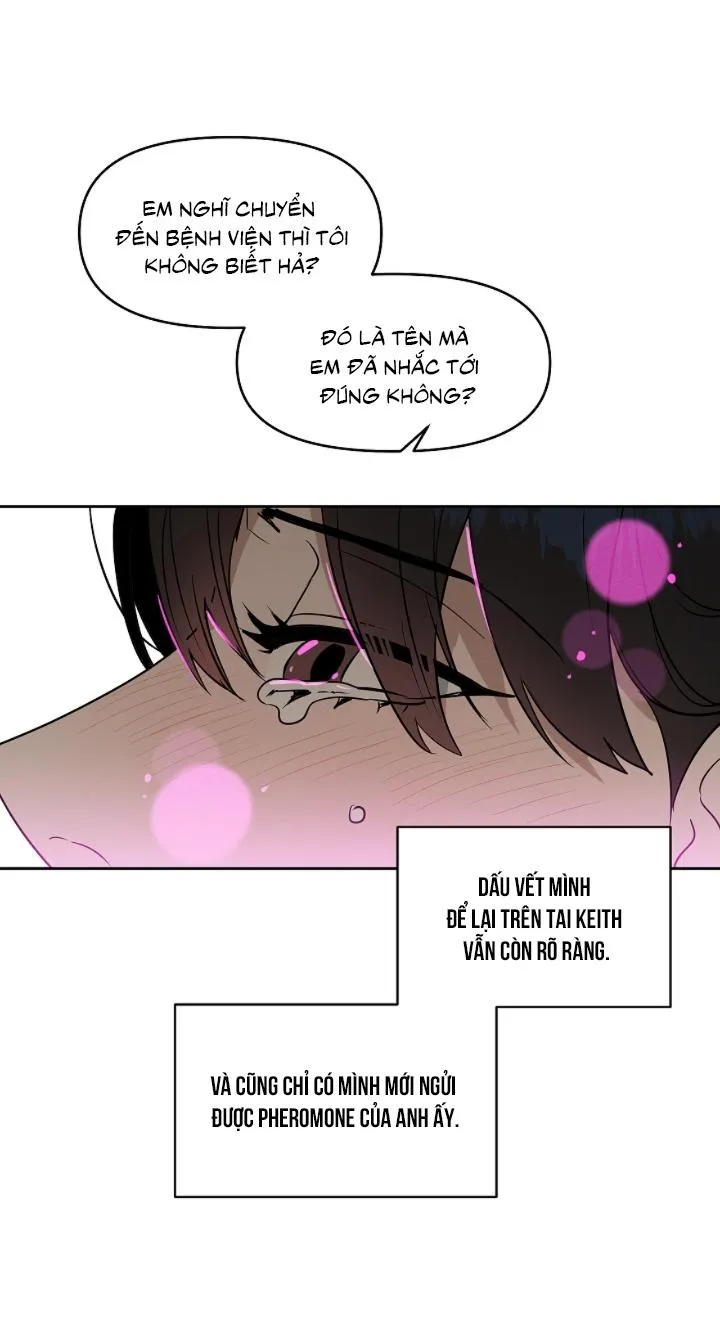 Kiss me liar Chapter 39 Trang 13