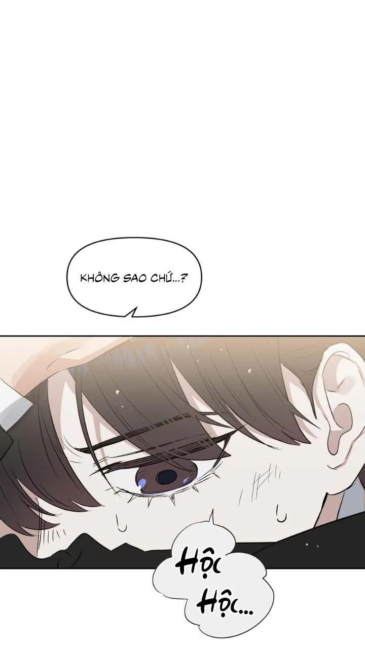 Kiss me liar Chapter 42 Trang 15