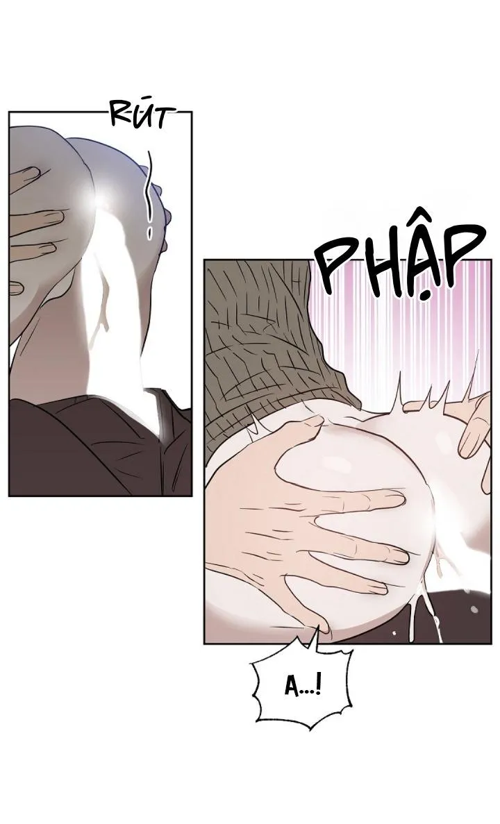 Kiss me liar Chapter 46 Trang 15