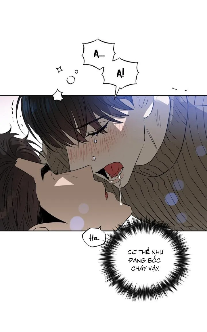 Kiss me liar Chapter 46 Trang 16