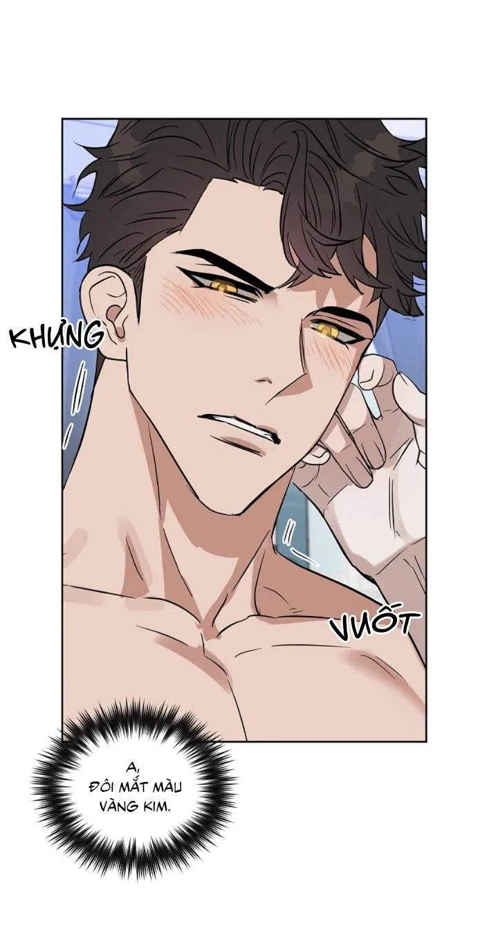 Kiss me liar Chapter 46 Trang 26