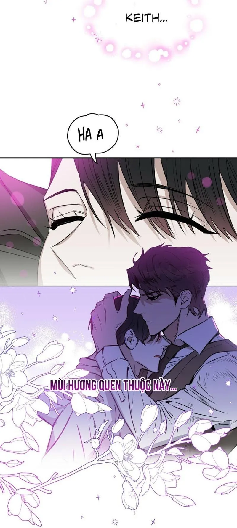 Kiss me, liar (Ngoại truyện) Chapter 19 Trang 42