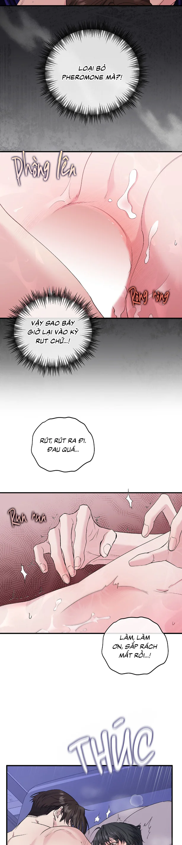 KISS THE SCUMBAG Chapter 15 Trang 14