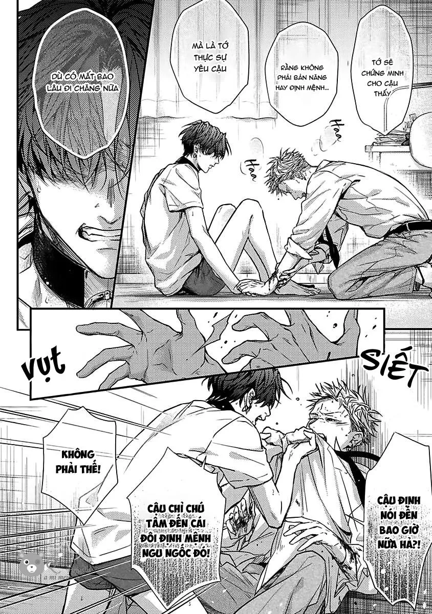 Kiss wa Tsugai ni Hizamazuku Chapter 5 Trang 24