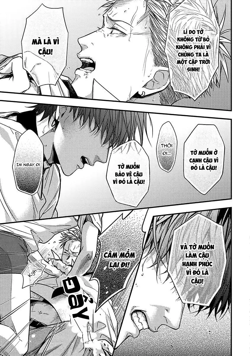 Kiss wa Tsugai ni Hizamazuku Chapter 5 Trang 25