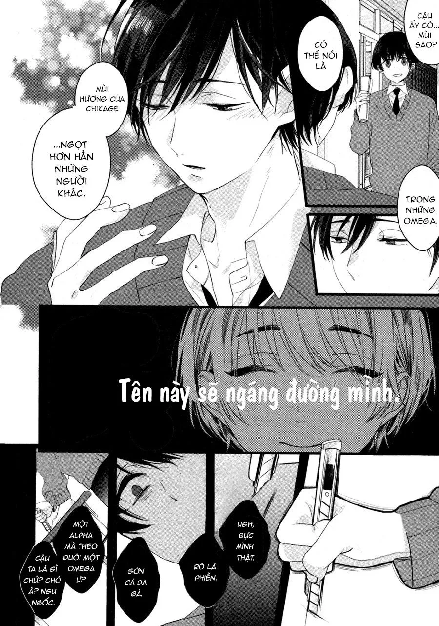 Kiyoku Tadashiku Utsuku Shiku Chapter 3 Trang 10