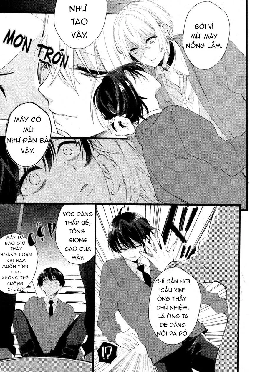 Kiyoku Tadashiku Utsuku Shiku Chapter 4 Trang 10