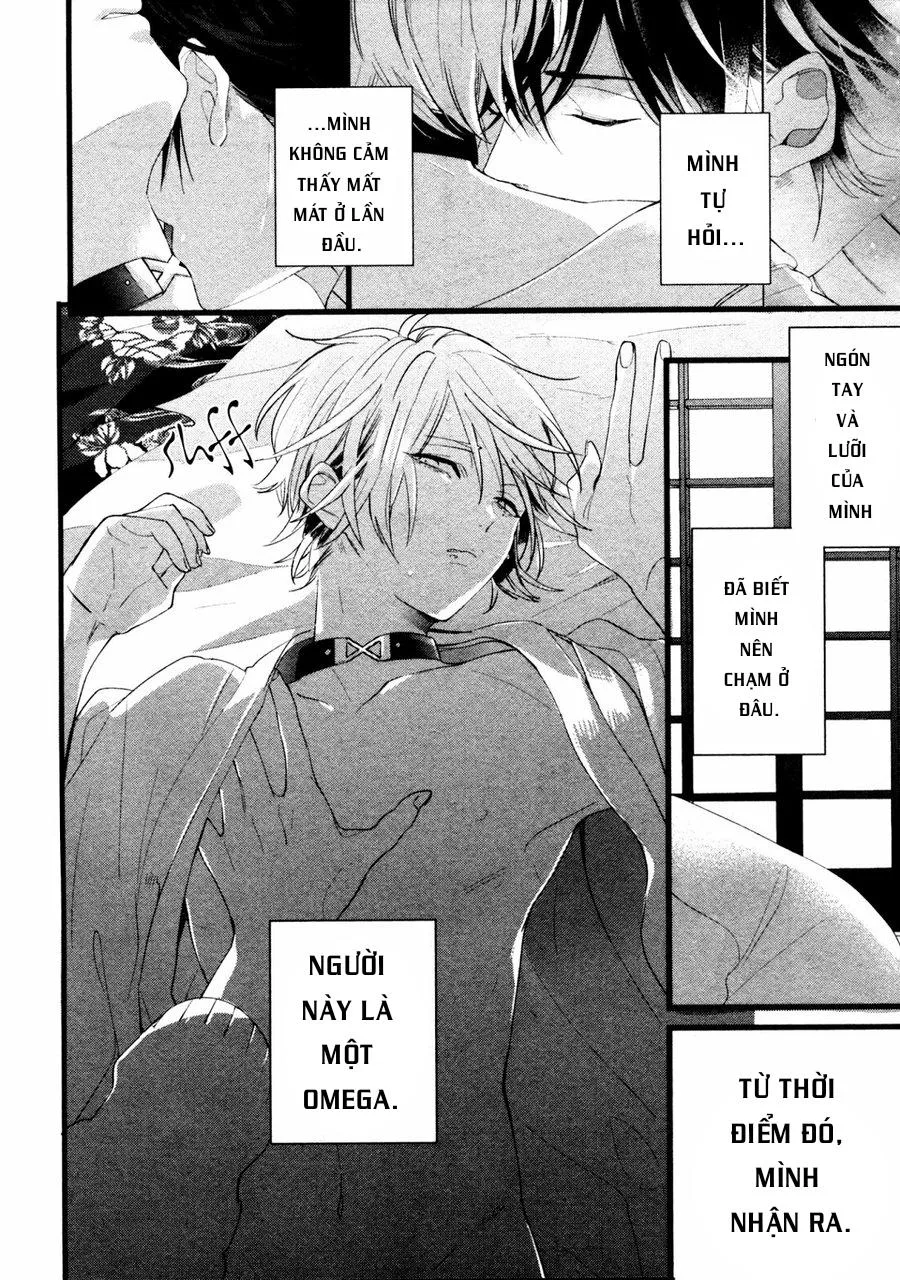 Kiyoku Tadashiku Utsuku Shiku Chapter 5 Trang 19