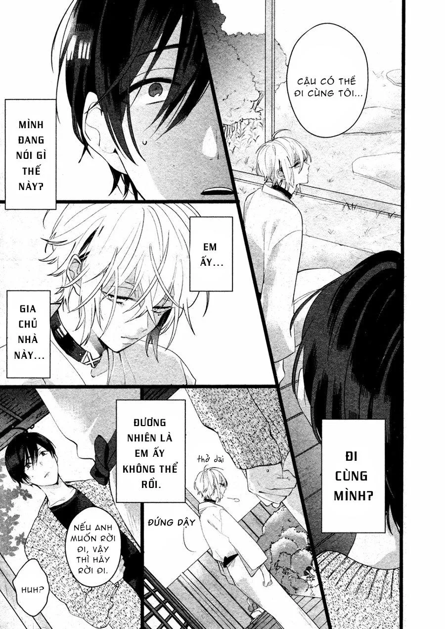 Kiyoku Tadashiku Utsuku Shiku Chapter 6 Trang 5