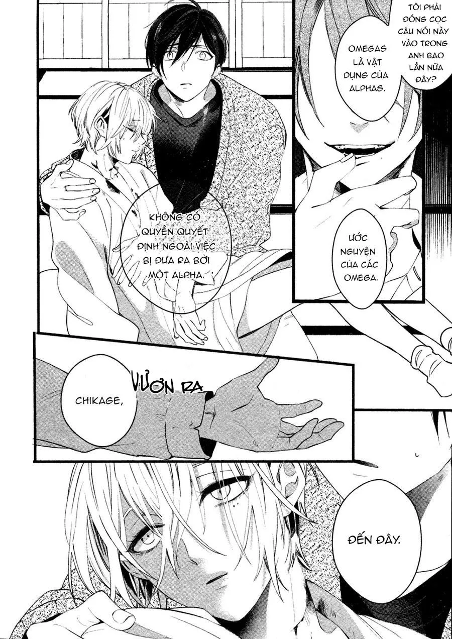 Kiyoku Tadashiku Utsuku Shiku Chapter 7 Trang 8