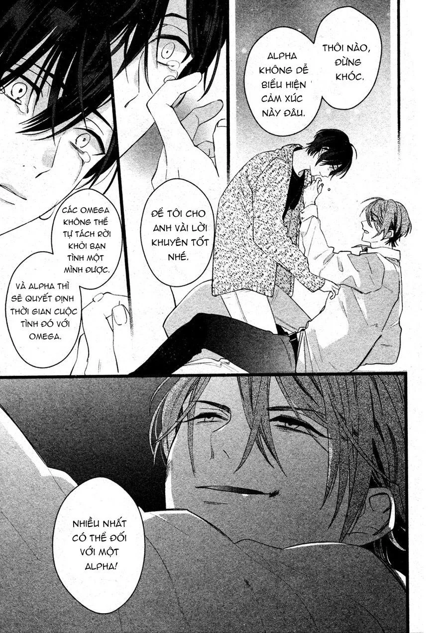 Kiyoku Tadashiku Utsuku Shiku Chapter 7 Trang 17