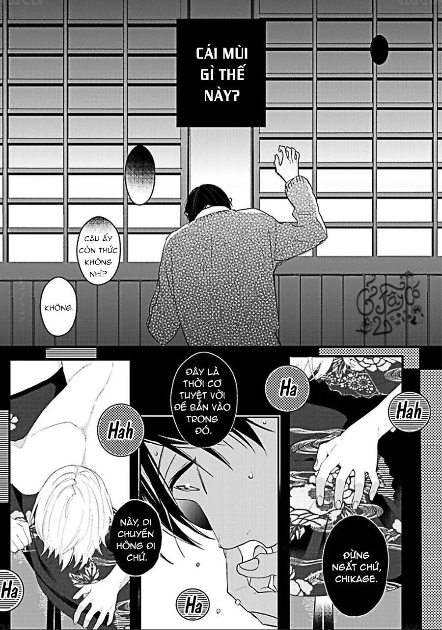 Kiyoku Tadashiku Utsuku Shiku Chapter 1 Trang 31