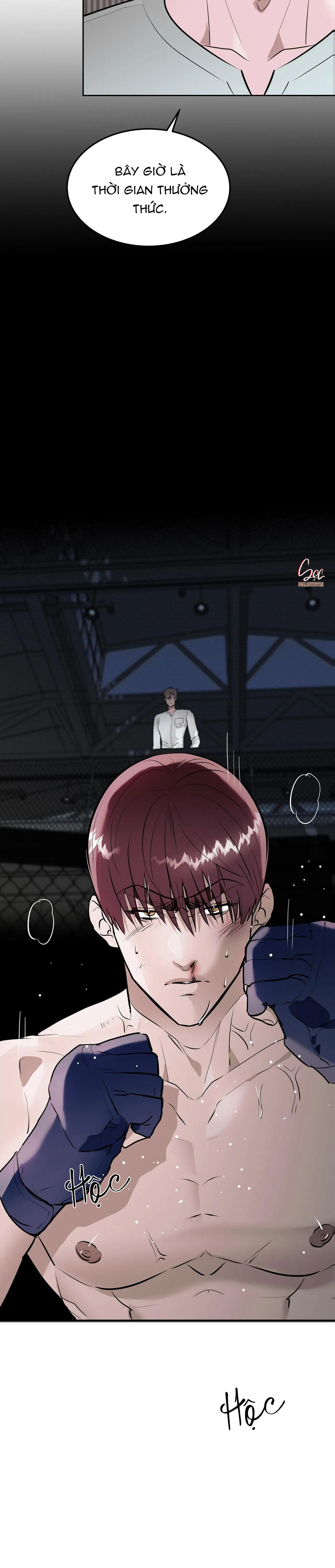 KNOCKOUT BABY Chapter 3 Trang 6