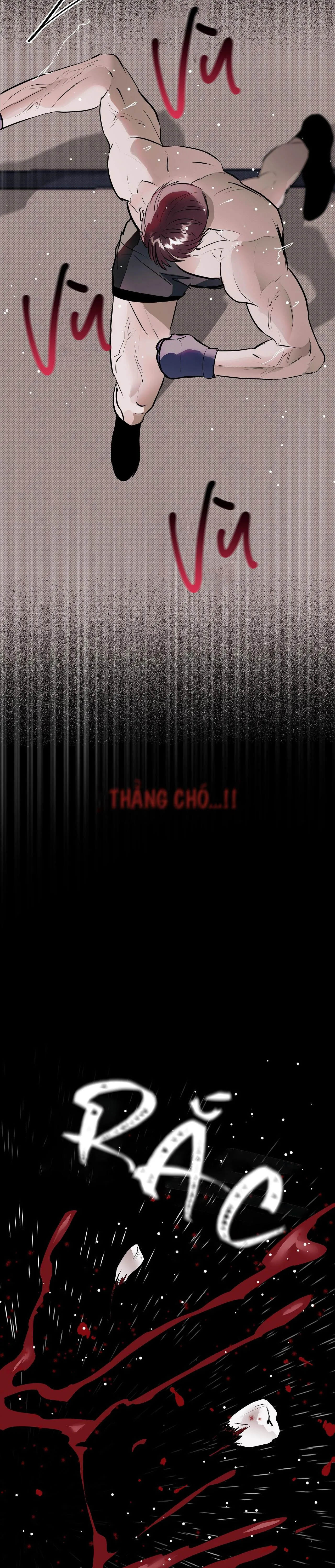 KNOCKOUT BABY Chapter 3 Trang 12